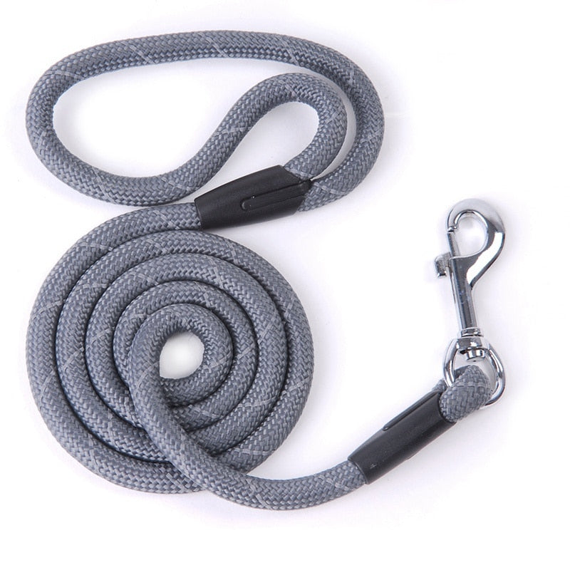 Reflective Nylon Running Leashes