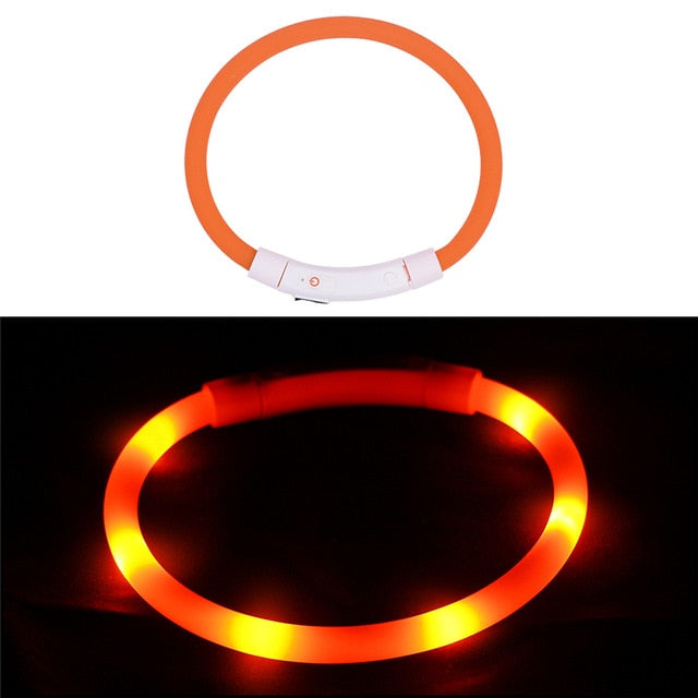 Rechargeable Flashing Night Dog Collars