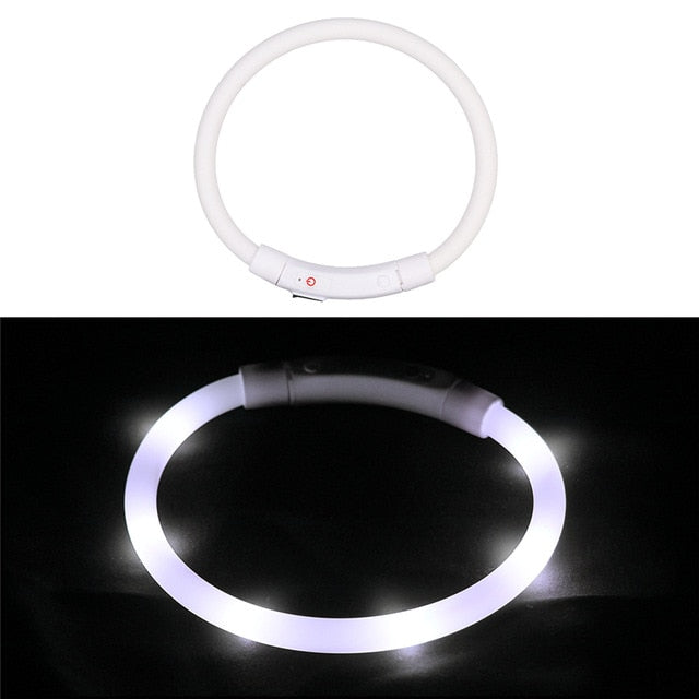 Rechargeable Flashing Night Dog Collars