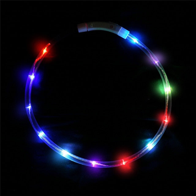 Rechargeable Flashing Night Dog Collars