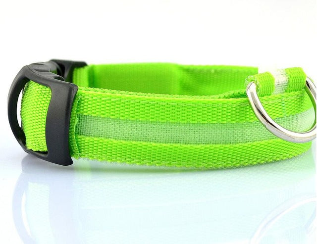 Nylon LED Pet Dog Collar