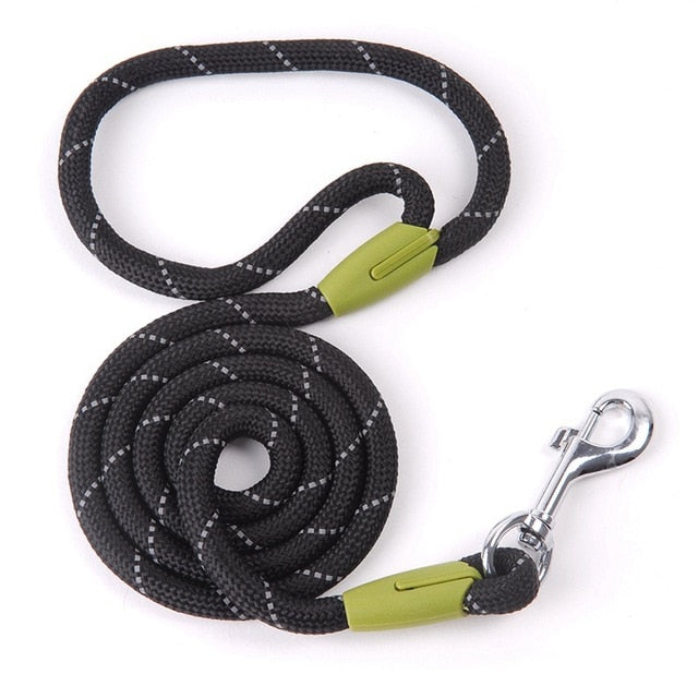 Reflective Nylon Running Leashes