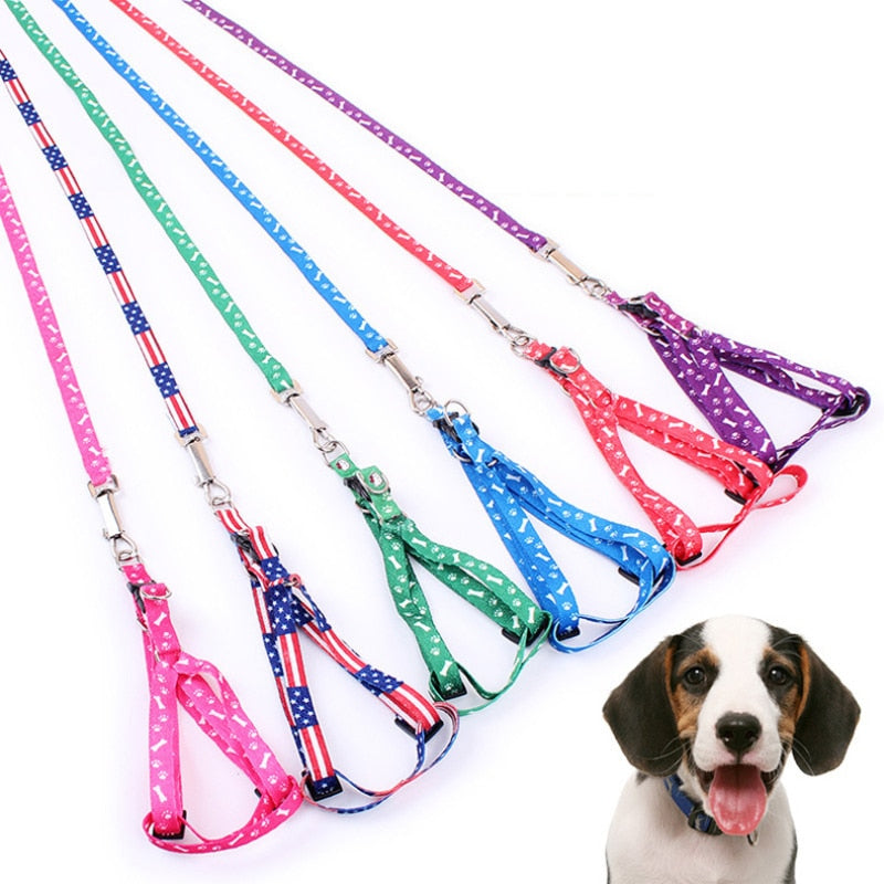 Pet Leash Colorful and Durable Leash