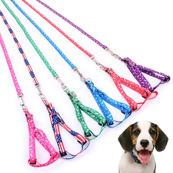 Pet Leash Colorful and Durable Leash