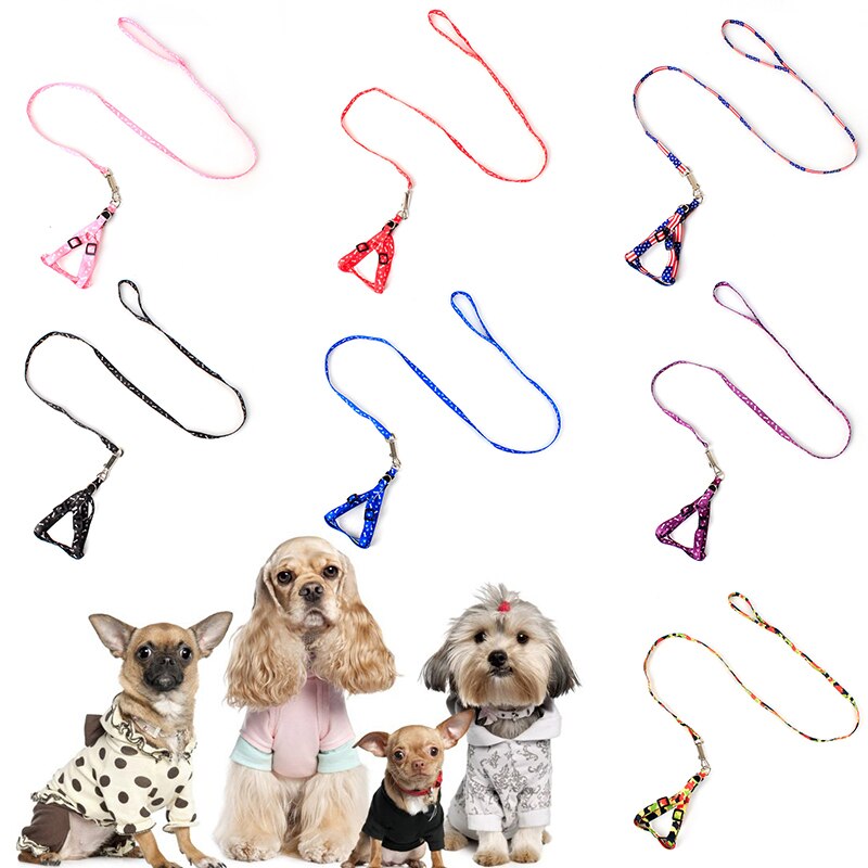 Pet Leash Colorful and Durable Leash