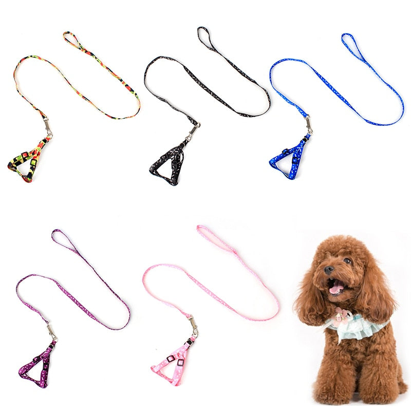 Pet Leash Colorful and Durable Leash