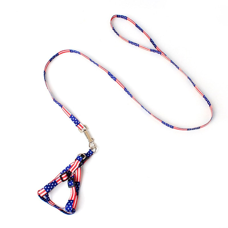 Pet Leash Colorful and Durable Leash